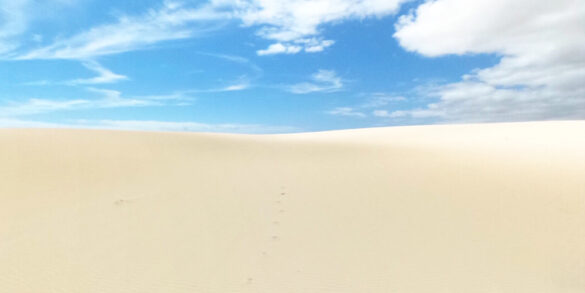 Parco naturale delle Dune di Corralejo